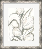 Framed 'Neutral Tropical II' border=