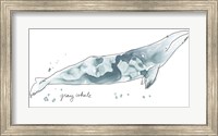 Framed Cetacea Gray Whale