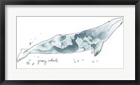 Framed Cetacea Gray Whale