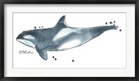 Framed Cetacea Orca Whale