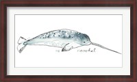 Framed Cetacea Narwhal