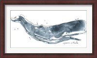 Framed Cetacea Sperm Whale