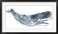 Framed Cetacea Sperm Whale