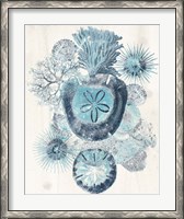 Framed Coastal Melange I