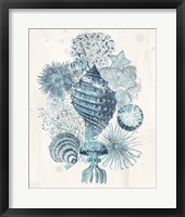 Framed 'Coastal Melange II' border=