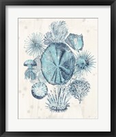 Framed 'Coastal Melange IV' border=