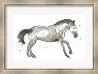 Framed Equine Impressions I