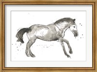 Framed Equine Impressions I