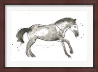 Framed Equine Impressions I