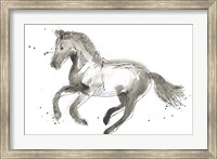 Framed Equine Impressions II