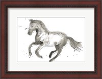 Framed Equine Impressions II