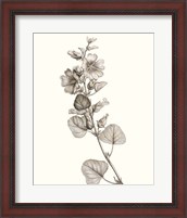 Framed Neutral Botanical Study I