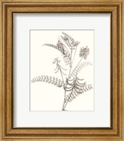 Framed 'Neutral Botanical Study VII' border=