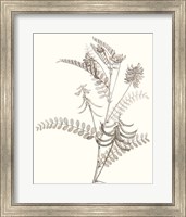 Framed Neutral Botanical Study VII