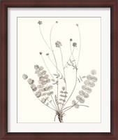 Framed Neutral Botanical Study IX