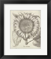 Framed Fresco Sunflower I