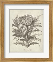 Framed Fresco Artichoke I