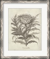 Framed Fresco Artichoke I