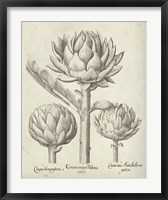 Framed Fresco Artichoke II