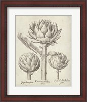 Framed Fresco Artichoke II