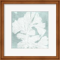 Framed 'Seaweed on Aqua IV' border=