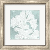 Framed 'Seaweed on Aqua IV' border=