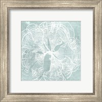 Framed 'Seaweed on Aqua VIII' border=