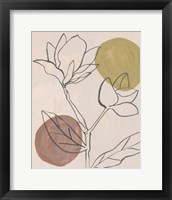 Framed 'Blush II' border=