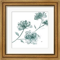 Framed Traces of Flowers IV