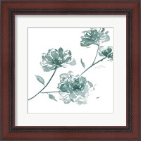 Framed Traces of Flowers IV