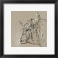 Framed 'Bison Sketch II' border=