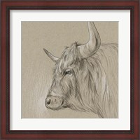 Framed Bison Sketch II