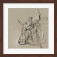 Framed Bison Sketch II