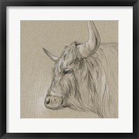 Framed Bison Sketch II