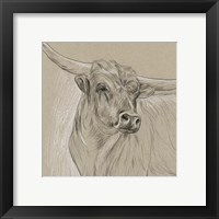 Framed 'Longhorn Sketch I' border=