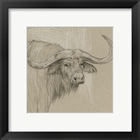 Framed 'Longhorn Sketch II' border=