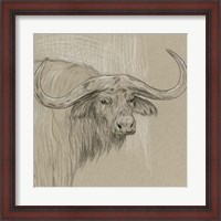 Framed Longhorn Sketch II