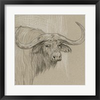 Framed Longhorn Sketch II