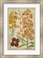 Framed Tropical Floral I