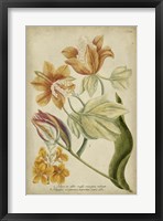 Tropical Floral II Framed Print