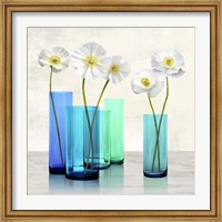Framed Poppies in crystal vases (Aqua I)