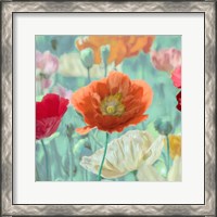 Framed 'Poppies in Bloom I' border=