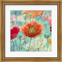 Framed Poppies in Bloom I