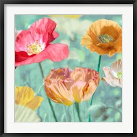 Framed Poppies in Bloom II