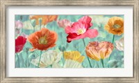 Framed Poppies in Bloom