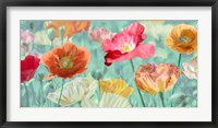 Framed Poppies in Bloom