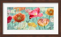Framed Poppies in Bloom
