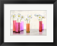Framed Poppies in crystal vases (Purple palette)