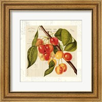 Framed Cerises