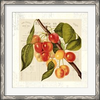 Framed Cerises